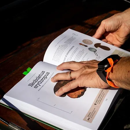 Casa Della Capra 3* Mergozzo