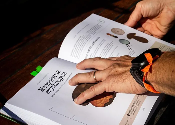 Casa Della Capra 3* Mergozzo